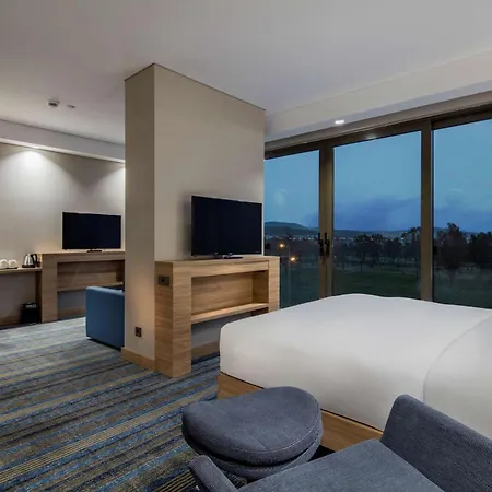 ホテル Hampton By Hilton Izmir Aliağa