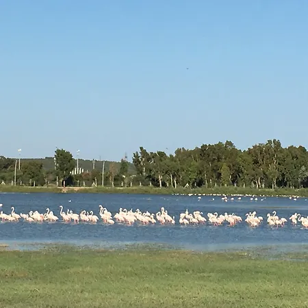 Hotel Hampton By Hilton Izmir Aliaga