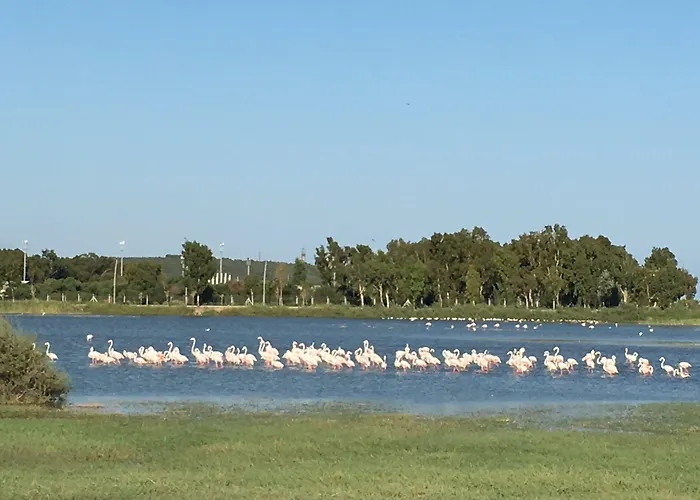 Otel Hampton By Hilton Izmir Aliaga