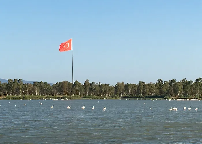 Hampton By Hilton Izmir Otel Aliaga